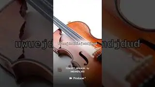 CIRCUIT_BREAKER/Nerdcore / Gaming Pop, violin, harp, trumpet, trap.