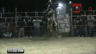 RANCHO HERMANOS RAMIREZ, SAN MIGUEL CARRIZAL OAX. 2026