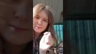 От любви до ненависти одно мгновение. Заяц против прически Мазая. Злая Джасти #angry #hare #animal