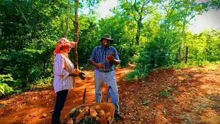 #30 Stones tried us. Building a homestead in rural Zimbabwe.