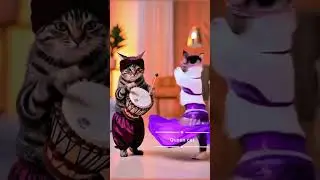 #queencat #cat #funny #punjabimusic
