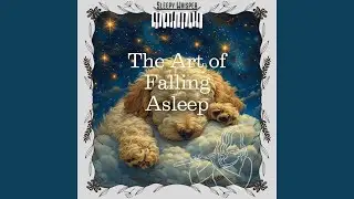 Put Your Mind at Rest