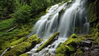 Waterfall Sounds 🌊 1 Hour | Relaxing White Noise for Sleep