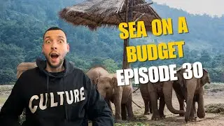 ELEPHANT SANCTUARY IN CHIANG MAI! | SEA ON A BUDGET 30