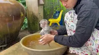 I'm vry c0ol mom, koy bathing under the raining