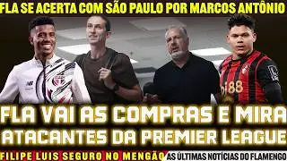 FLAMENGO VAI ÀS COMPRAS SE ACERTA COM SÃO PAULO POR MARCO ANTÔNIO E TENTA ATACANTE DA PREMIER LEAGUE