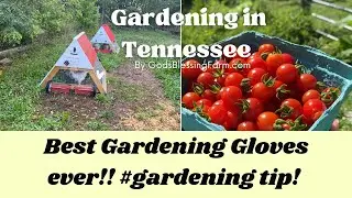 Best Gardening Gloves EVER! #gardeningtips #zone7gardening