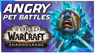 ANGRY Pet Battle PvP! World of Warcraft Shadowlands Competitive WoW Battle Pet Guide!