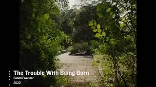 HOANZL  Der &ouml;sterreichische Film. Edition Der Standard. Staffel 16 # 355 The trouble with being born