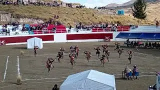 qanchi de mamuera en chamaca