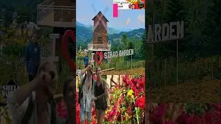 Unlocking Cebu City's Best-Kept Secrets: Hidden Gems You Must Explore! #cebutravel