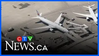Fewer flights heading south of the border