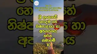 හොඳම තේ නිෂ්පාදනය කරන සහ අපනයනය කරන සමාගම්😱Tea producing and exporting companies#tea #company #team