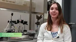 Advice PhD students would give their younger selves