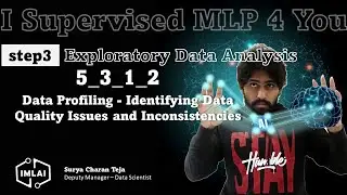 5_3_1_2 Data Profiling   Identifying Data Quality Issues and Inconsistencies
