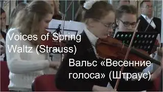 Strauss J. (son), Voices of Spring Waltz (Штраус И. (сын), вальс Весенние голоса) - orchestra