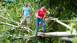 Hanh and her father clean up fallen trees after Typhoon WIPHA | LT Daily Life, Vietnam