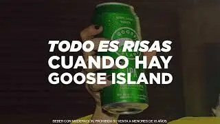 Goose Island | IPA