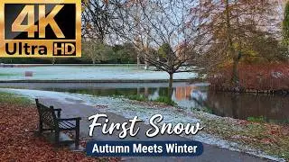 Season's First Snowfall Walk. When Autumn Weds Winter. Calm Nature Walk for Mental Health. OWMM #30