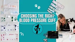 Choosing the right veterinary Blood Pressure Cuff   🩺🐾 Vet1