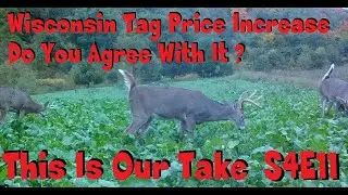 Wisconsin tag price increase views and thoughts s4e11