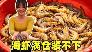 潮水退去后的盛宴！海虾满仓盘装不下，收获感直接拉满！【阿渔妹】