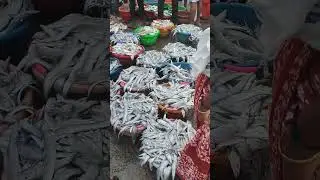 full bucket fish very very low price | very fresh fish | fish market | fish cutting #fishmarket