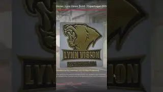 LYNN VISION GOLD UNBOXING! MAX WIN!