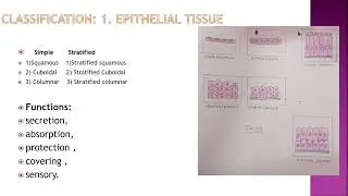 1- ADMLT- ANATOMY AND PHYSIOLOGY- INTRODUCTION- DR. RAJASHREE MUTHA