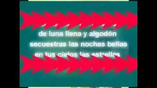 MAICITO PELO DE AMBROSIO ( CON LETRA) LYRICS