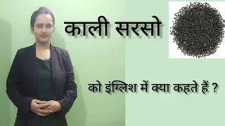 काली सरसो को इंग्लिश में क्या कहते हैं ll Kali sarso ko English me kya kahte hai ll Kali sarso