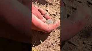 #metaldetecting #amazingfinds