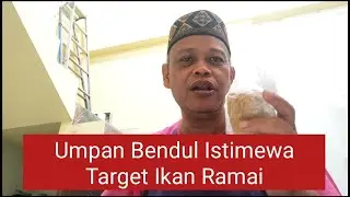 Umpan Bendul Istimewa Target Ikan Ramai @pakgurutotok channel