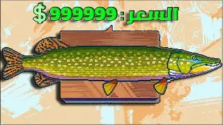 كيف جبت 9,856 دولار من بيع السمك  | Scale The Depth #1
