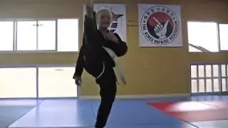 Hapkido infantil en Alicante