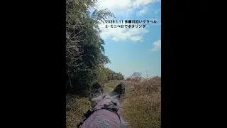 2026 1 11 多摩川沿い 犬連れサイクリング