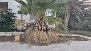 Tunezja Djerba poza hotelem 