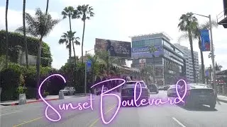 Driving Through Sunset Boulevard, Los Angeles, California [4K]