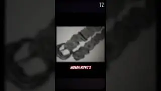 Тревожный пояс, найденный в доме Эда Гейна | Криминальный ужас