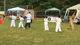 Crabapple Martial Arts - Roswell Youth Day Demo