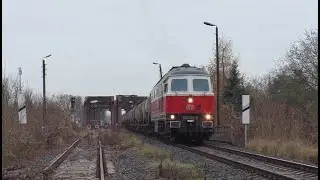 [DB Cargo] 232 005-9 | Kostrzyn nad Odrą