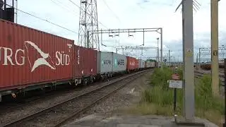 66551 4L57 Birch Coppice Freightliner   Felixstowe North F L T