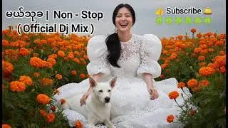 မယ်သုခ | Non-stop (Official DJ Mix 2026) | New Myanmar DJ Remix | #shorts #short #music #dj #dj2026
