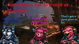 Sunshine Tries COD Zombies For the First Time