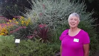 A Walking Tour of the Water Efficient Landscape (WEL) Garden