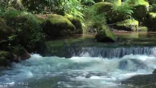 Wasser.reich: Die Thermen in Bad Wildbad und das wilde Enztal