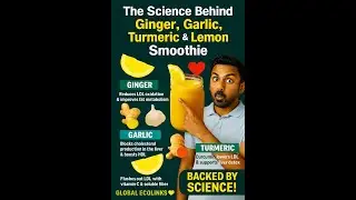 This Smoothie Melts Cholesterol! Animated Science Reveals All! 2025 10 22