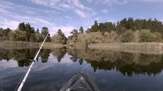 Fishing for Redfin | Blue Mountains |