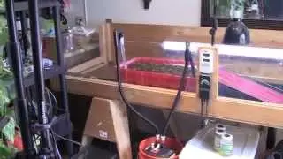 Turtle Pen & Pool Up Date