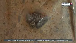 Une st&egrave;le en hommage &agrave; Ahutoru, premier Polyn&eacute;sien &agrave; avoir d&eacute;couvert l&rsquo;Europe